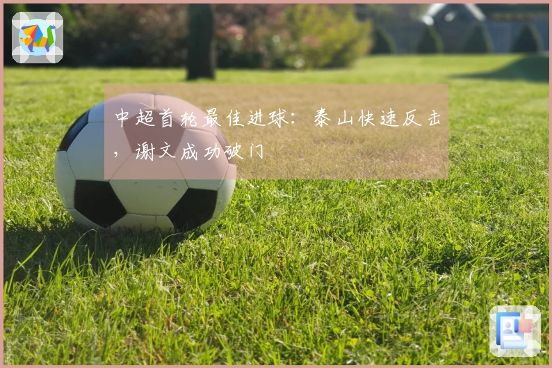 中超首轮最佳进球：泰山快速反击，谢文成功破门