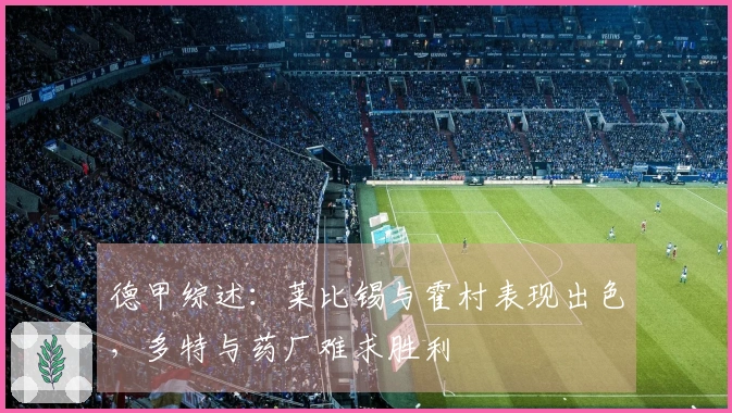 德甲综述：莱比锡与霍村表现出色，多特与药厂难求胜利