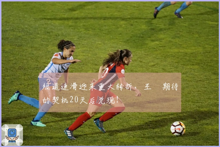 短道速滑迎来重大转折，王濛期待的契机20天后兑现！