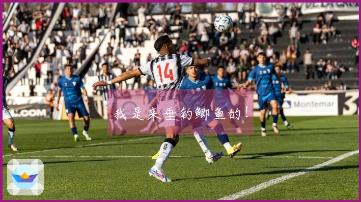 我是来垂钓鲫鱼的！